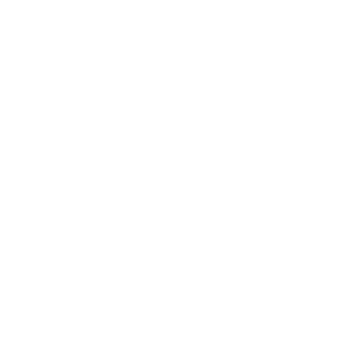 Individual Rights